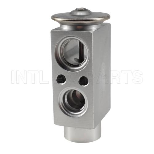 Auto AC Expansion Valve Ford Escape Lincoln MKC EX 10462C AV6N19849CB