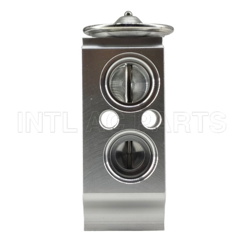 Expansion Valve Hyundai Grand Starex  976044H000 Kia Sportage EX10609C