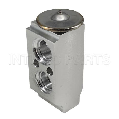 Auto Ac Expansion Valve Hyundai Equus Hyundai Genesis 976263M000 3131386