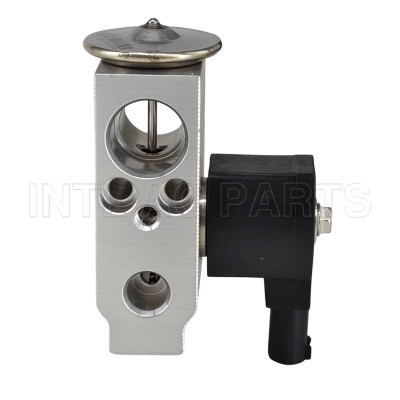 INTL-EH556 A/C Expansion Valve FOR Changan Nevo A05