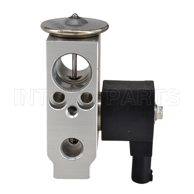 INTL-EH556 A/C Expansion Valve FOR Changan Nevo A05