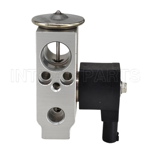 INTL-EH556 A/C Expansion Valve FOR Changan Nevo A05