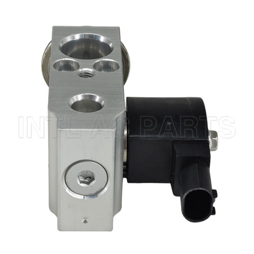 INTL-EH556 A/C Expansion Valve FOR Changan Nevo A05