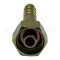 INTL-HF3004 #6 O-RING Straight Iron Fitting