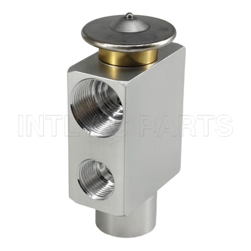 A1238301184 Automotive A/C Expansion Valve Mercedes model 240D 1977-1983 1238301584 191820679 4322165 64111363581 7701027865 A1238301184 V15770003