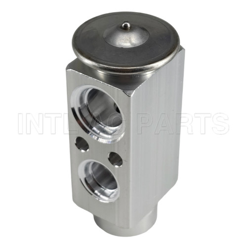 BMW X5 Auto AC Conditioner Expansion Valve 64116981454