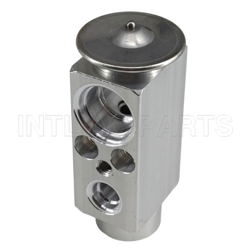 BMW X5 Auto AC Conditioner Expansion Valve 64116981454
