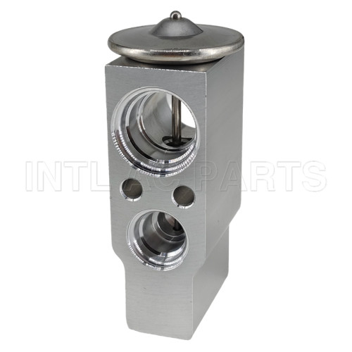 Auto Ac Expansion Valve BMW 528i 550i 650i  750i EX 10439C 64119159803