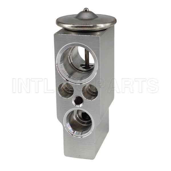 Auto Ac Expansion Valve BMW 528i 550i 650i 750i EX 10439C 64119159803