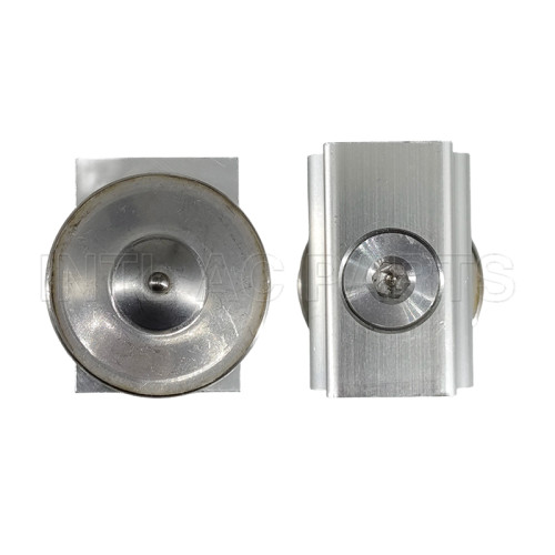 Auto Ac Expansion Valve BMW 528i 550i 650i  750i EX 10439C 64119159803