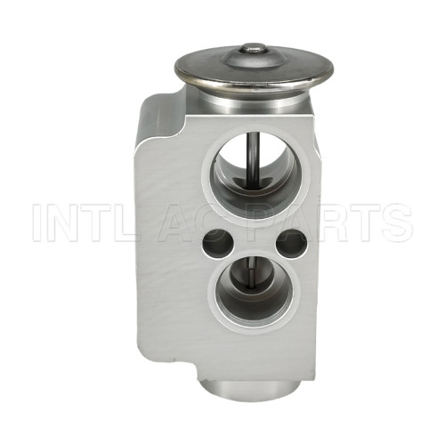 64119226078 Block Expansion valve for 2011-2011 BMW 1 Series M 3.0L 64116981484 64119182512 64116934406 509984 V20770014