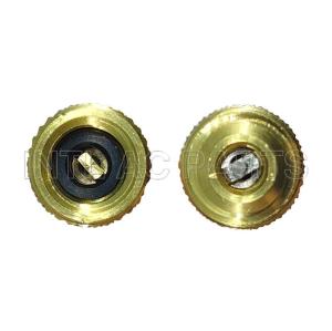 Conversion Connector R134/R12 1/2sae TO 1/4sae