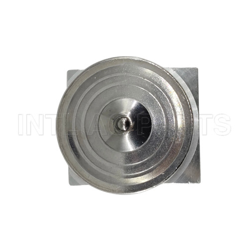 Auto Ac Expansion valve for Freightliner Any EX 529468C EX 529508C
