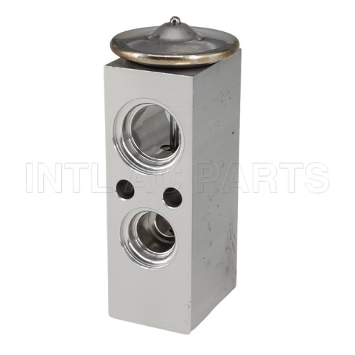 Expansive Valve Western Star 4900EX 4900FA 4900SA 40138302