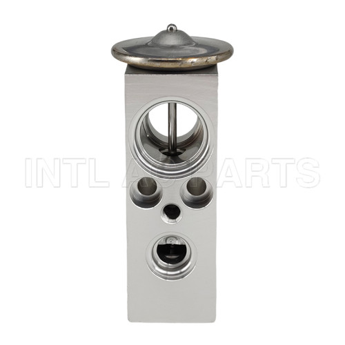 Expansive Valve Western Star 4900EX 4900FA 4900SA 40138302