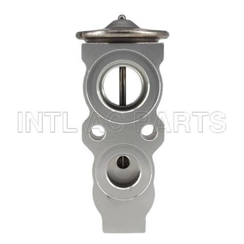 Block Expansion Valve BMW 330i / BMW X3 / BMW Z4 64116994989 EX10717C