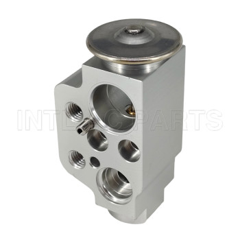 Auto Ac Expansion valve Porsche Cayenne 2003-2015 95557231910 M719