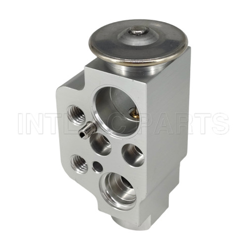 Auto Ac Expansion valve Porsche Cayenne 2003-2015 95557231910 M719