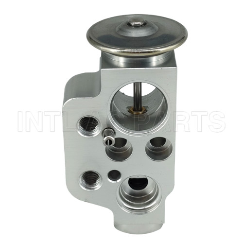 Auto Ac Expansion valve Porsche Cayenne 2003-2015 95557231910 M719