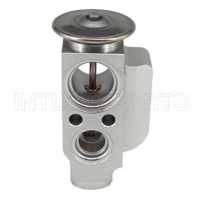 Auto Ac Expansion valve Porsche Cayenne 2003-2015 95557231910 M719