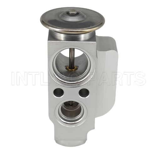 Auto Ac Expansion valve Porsche Cayenne 2003-2015 95557231910 M719