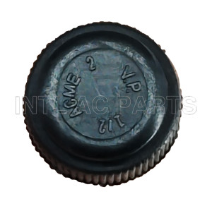 Compressor Auto AC Cap R134A Cap GA 0676C MT0638 CP676