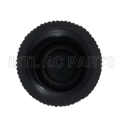 Compressor Auto AC Cap R134A Cap GA 0676C MT0638 CP676