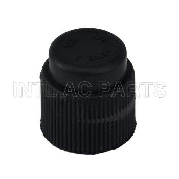 Compressor Auto AC Cap R134A Cap GA 0676C MT0638 CP676
