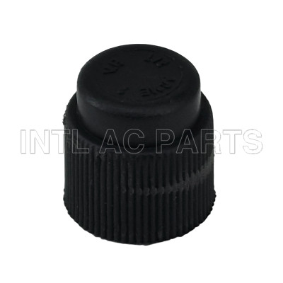 Compressor Auto AC Cap R134A Cap GA 0676C MT0638 CP676