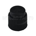 Compressor Auto AC Cap R134A Cap GA 0676C MT0638 CP676