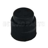 Compressor Auto AC Cap R134A Cap GA 0676C MT0638 CP676