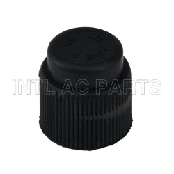 Compressor Auto AC Cap R134A Cap GA 0676C MT0638 CP676