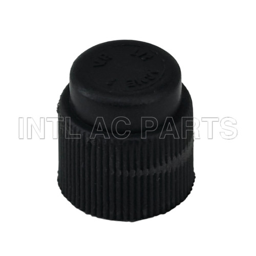 Compressor Auto AC Cap R134A Cap GA 0676C MT0638 CP676