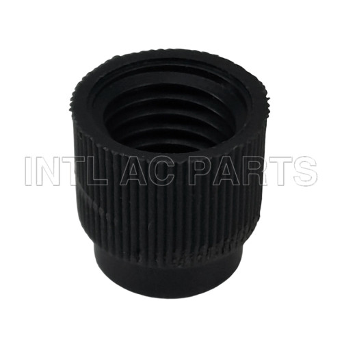 Compressor Auto AC Cap R134A Cap GA 0676C MT0638 CP676