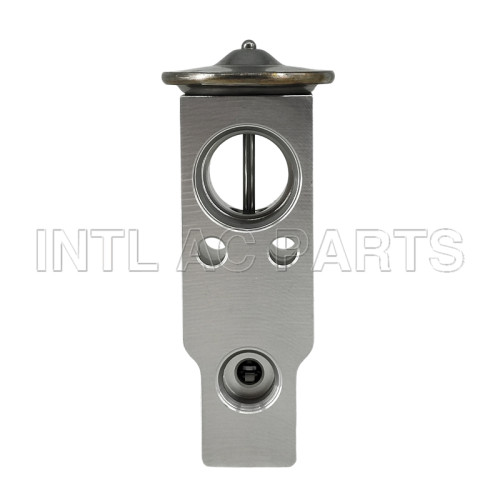 Auto Ac Expansion Valve for Mitsubishi Montero 2001-2006 EX 10095C MR500662