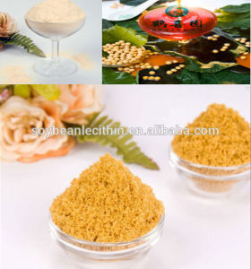 Our food company supply soya lecithin powder on alibaba at lowest price