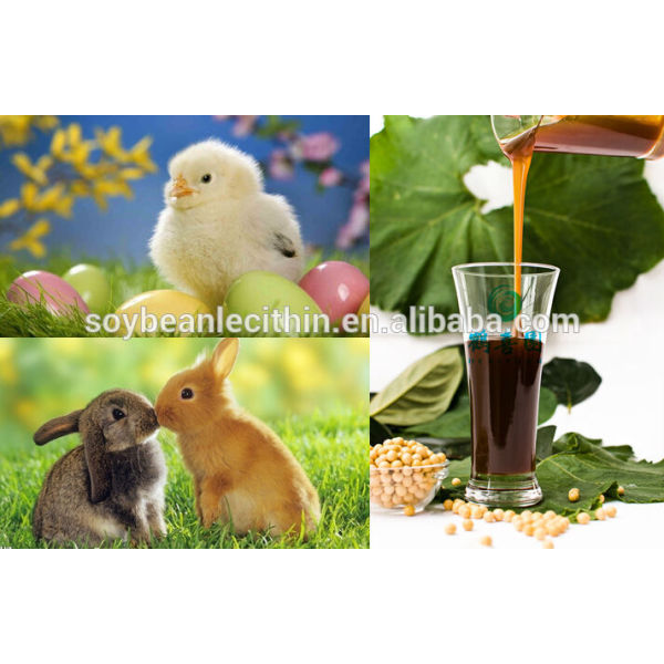 Qualité alimentaire de lécithine de soja ( Non - ogm )