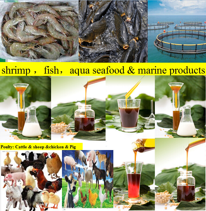 soy lecithin for sale