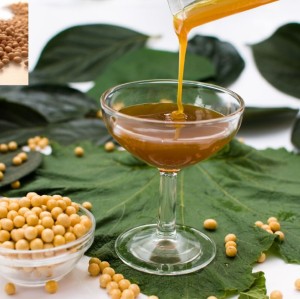 Lécithine de soja comme nutrition alimentation enhancer