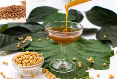 Lécithine de soja comme nutrition alimentation enhancer