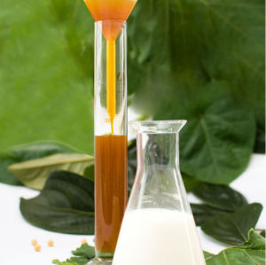 Usine offre quanlity excellent modifiée de lécithine de soja