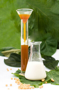 Soja lecitina para Anti oxidação