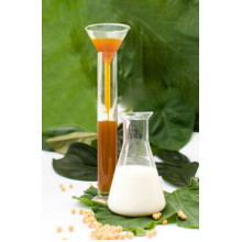 Soja lecitina para Anti oxidação