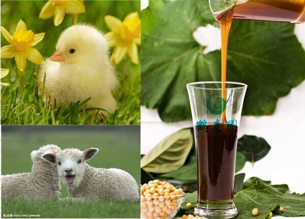 Soya Lecithin lecithin emulsifier as Animal, poultry, broiler feed additive