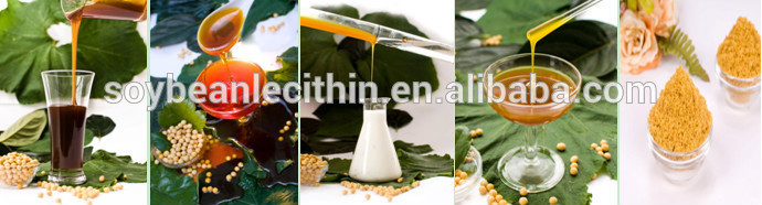 Modified water soluble Soy Lecithin