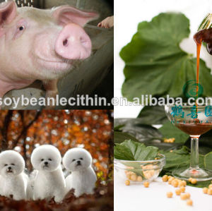 De lécithine de soja naturel de source alimentation des porcs ingrédient