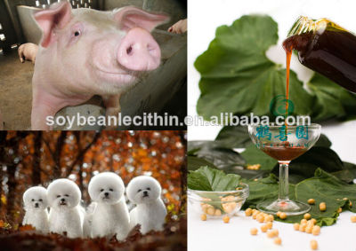 De lécithine de soja naturel de source alimentation des porcs ingrédient