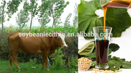 L'alimentation du bétail qualité lécithine de soja solubilité