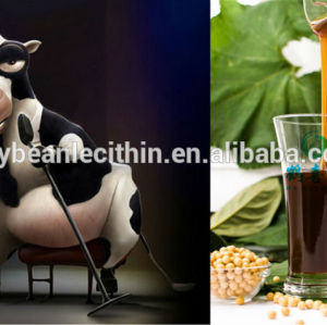 Non ogm de lécithine de soja actes que les bovins énergie alimentaire fournitures