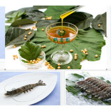 Modifié ( soluble dans l'eau ) de lécithine de soja pour l'aquaculture espèces feeds